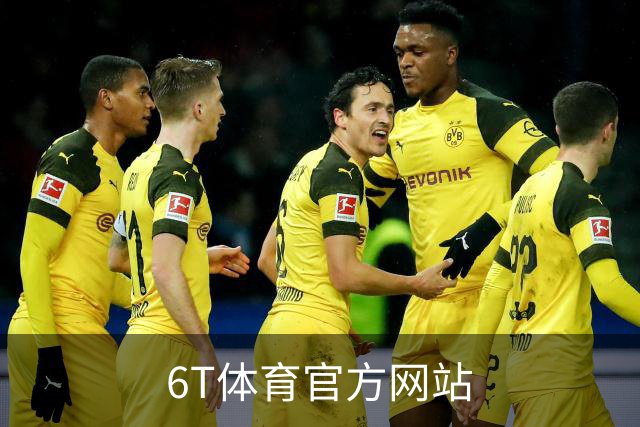 6T体育官方网站公司简介图片